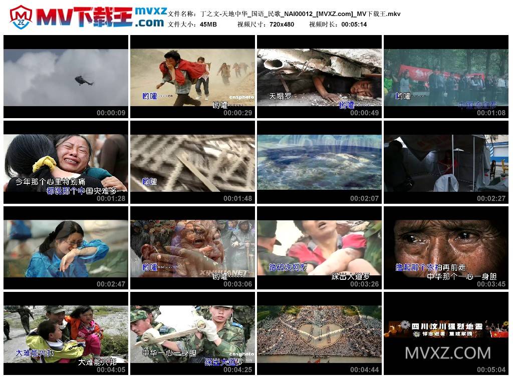 丁之文-天地中华_国语_民歌_NAI00012